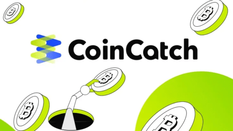 CoinCatch Referral Code